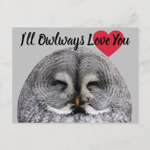 Owl Love Valentine Postcard