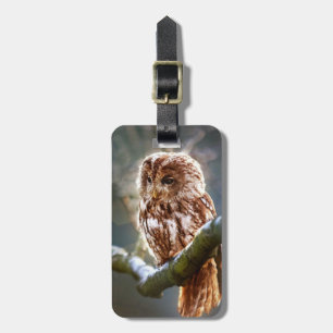 Owl Luggage Tag