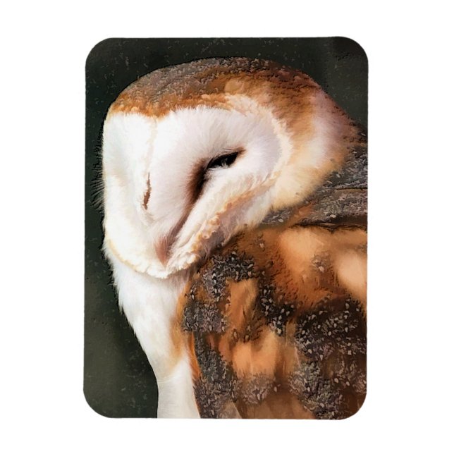 OWL MAGNET (Vertical)