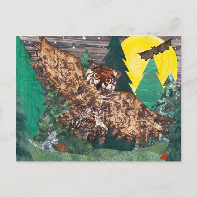 Owl Moon Night Songs Postcard (Front)