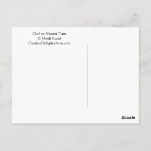 Owl Mount Tam Postcard