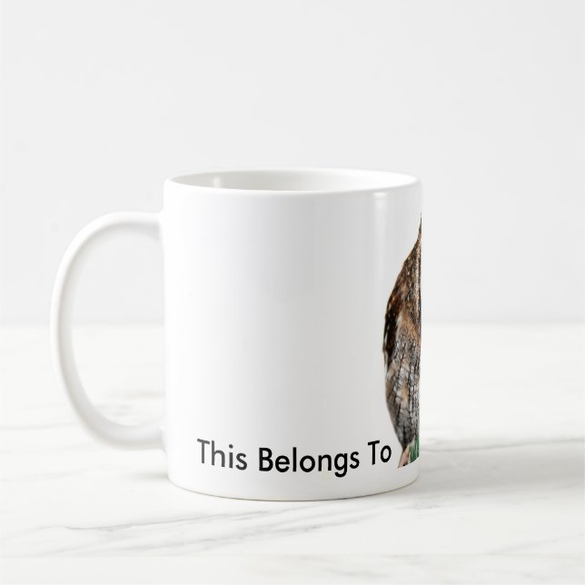 Owl Mug with 'This Belongs To The Wise One' text (Left)