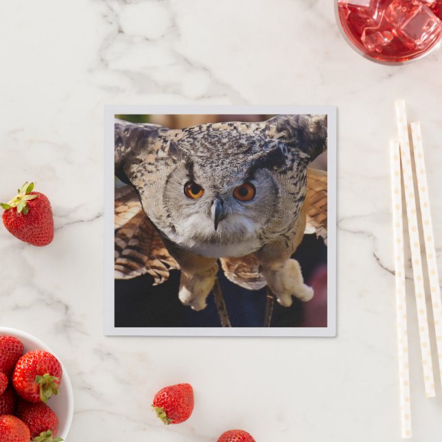 Owl Napkin (Insitu)