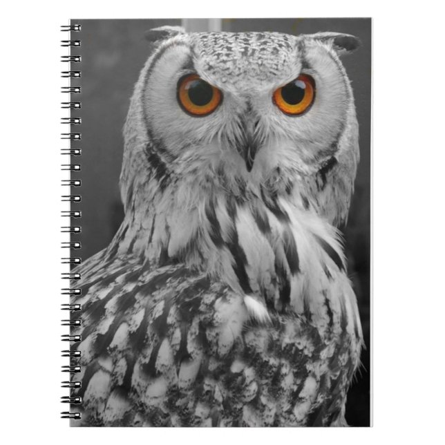 Owl notebook (Front)