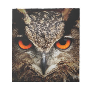 Owl Notepad