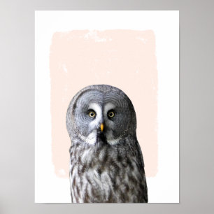 Owl nursery wall art animal portrait