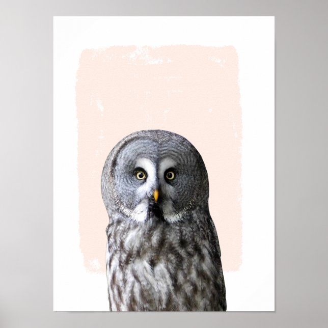 Owl nursery wall art animal portrait (Front)