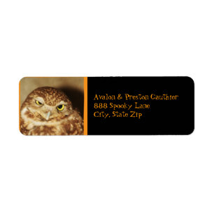 Owl of a Good Time Halloween Address Label