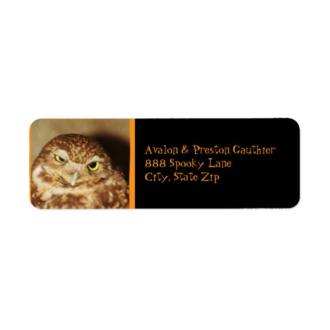 Owl of a Good Time Halloween Address Label (Front)