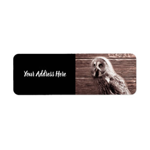 Owl on Barn Wood