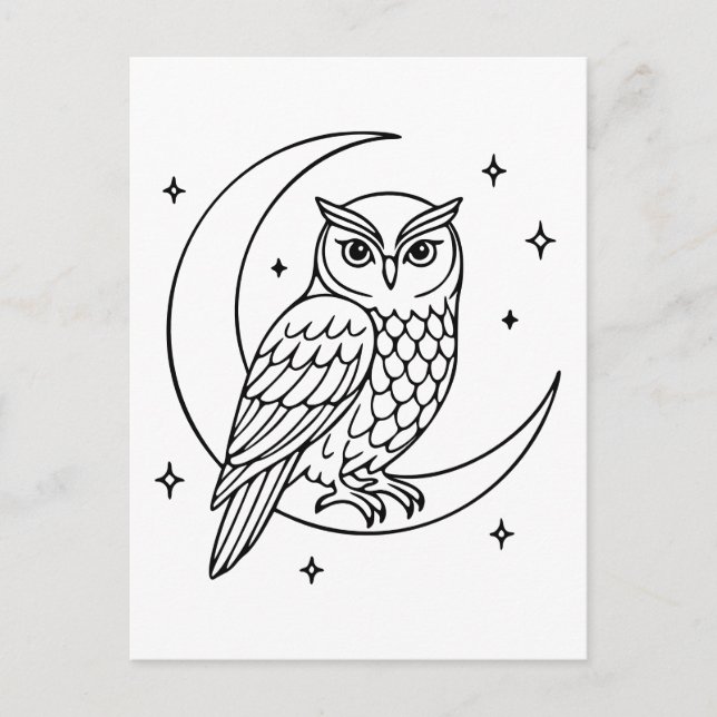  Owl on Crescent Moon with Stars Line Art Postcard (Front)