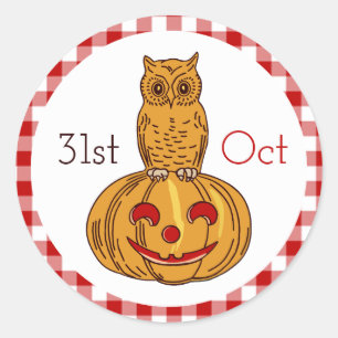 Owl on Pumpkin Gingham Pattern Classic Round Sticker
