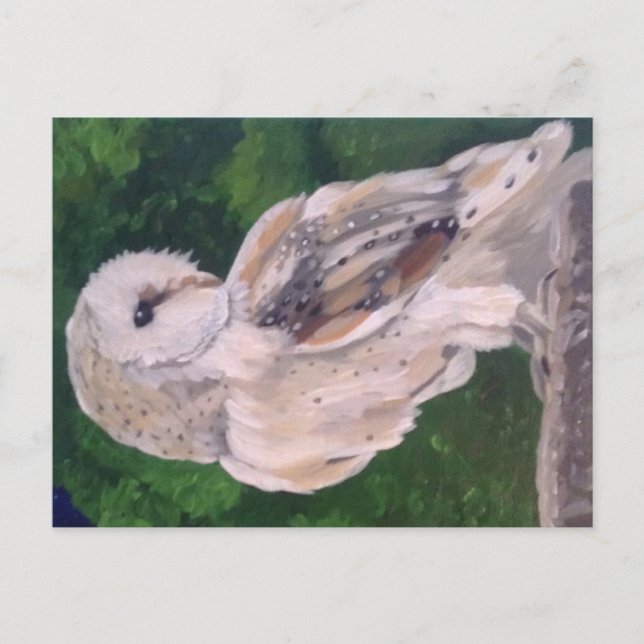 Owl painting on postcard (Front)