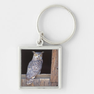 Owl perched in a window key ring
