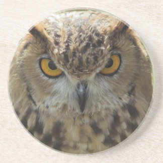 Owl Photo Coasters
