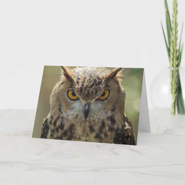 Owl Photo Greeting Card (Front)