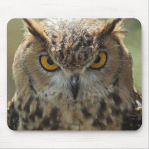 Owl Photo Mouse Pad