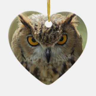 Owl Photo Ornament