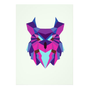 Owl Photo Print