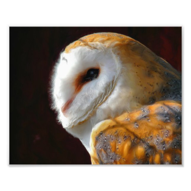 OWL PHOTO PRINT (Front)