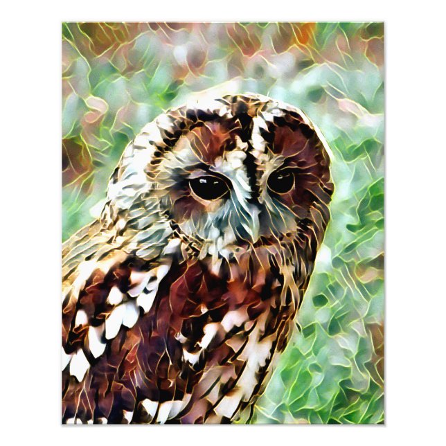 OWL PHOTO PRINT (Front)