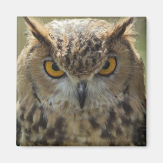 Owl Photo Square Magnet