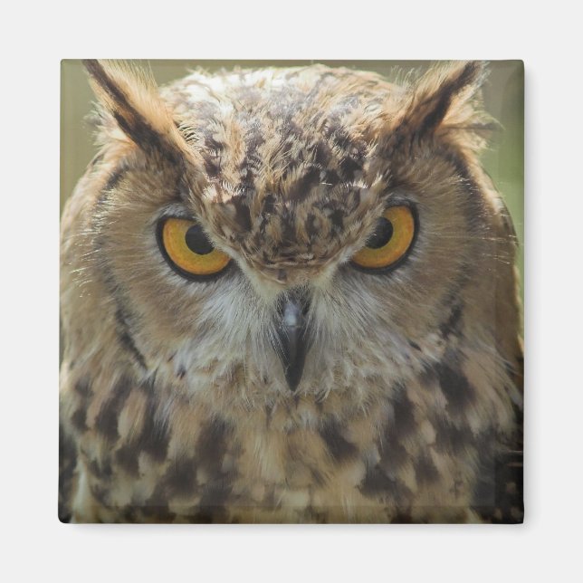 Owl Photo Square Magnet (Front)