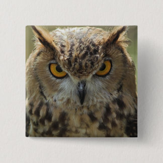 Owl Photo Square Pin