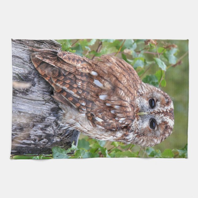 owl photograph tea towel (Horizontal)