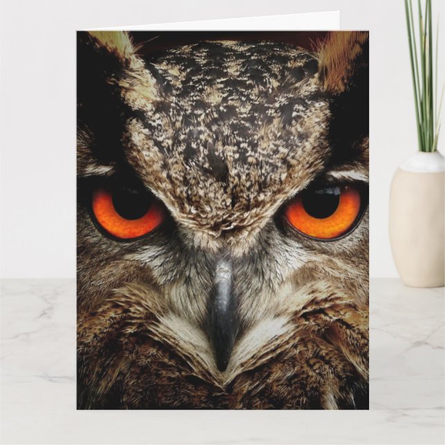 OWL Photography Oversized BIRTHDAY CARD (Front)