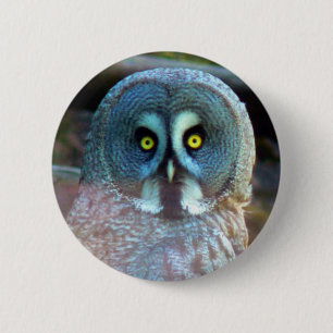 Owl Pin