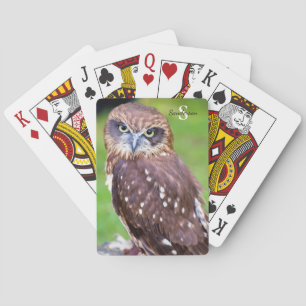 Owl Playing cards