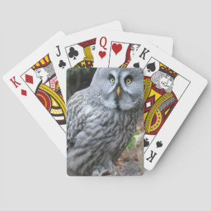 Owl Portrait Photograph Playing Cards