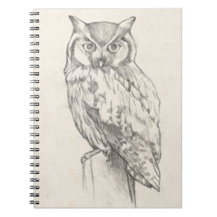 Owl Portrait - Sketch Notebook
