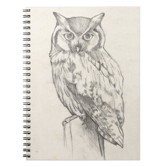 Owl Portrait - Sketch Notebook (Front)