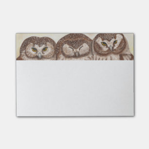 Owl post it note pad