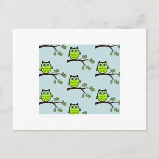 Owl postcard