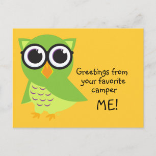 Owl Postcard