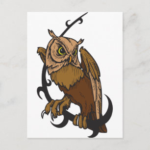 Owl Postcard