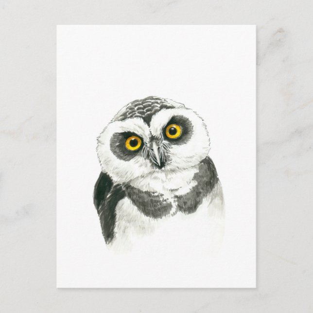 Owl Postcard (Front)
