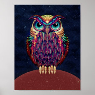 Owl Poster