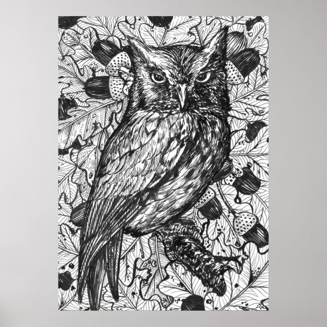 Owl Poster (Front)