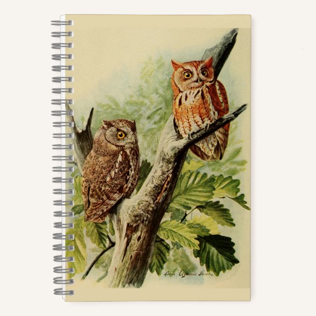 Owl Print Notebook (Front)