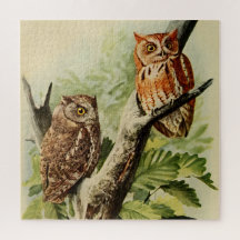 Owl Print Wall Art