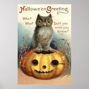 Owl Pumpkin Jack O Lantern Poster