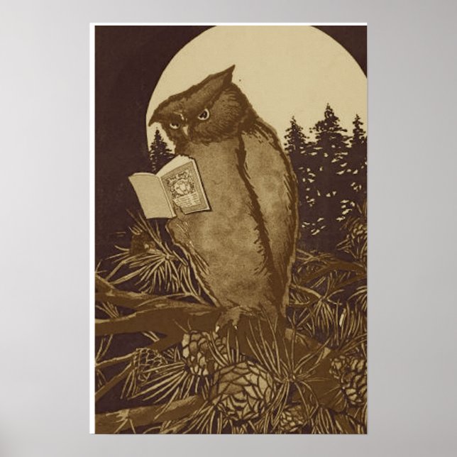 Owl Reading a book by Moonlight Poster (Front)