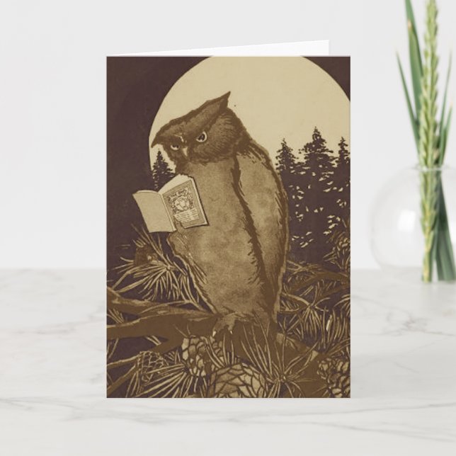 Owl  Reading by Moonlight Card (Front)