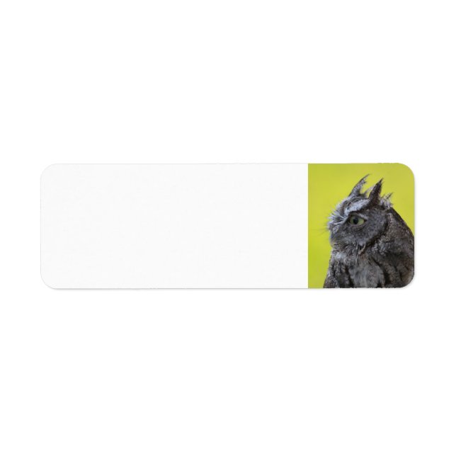 Owl return address label (Front)