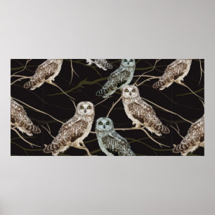 owl sitting on a branch poster
