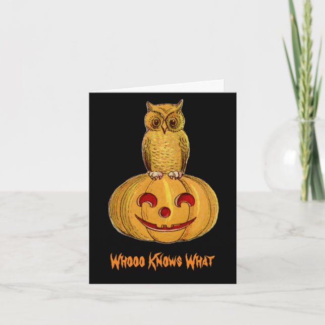 Owl Sitting On Pumpkin Card (Front)
